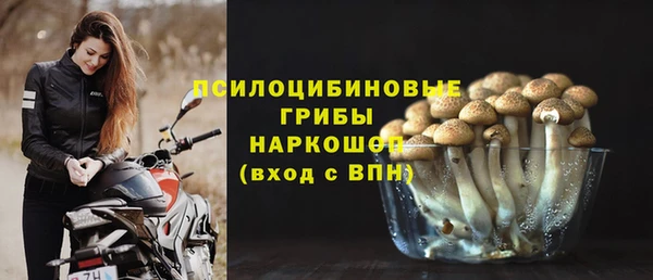 винт Медвежьегорск