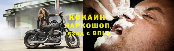 соль ск Артём