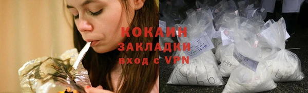 индика Алагир