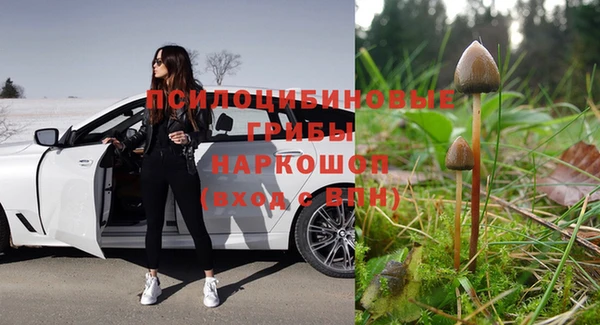 трава Медногорск