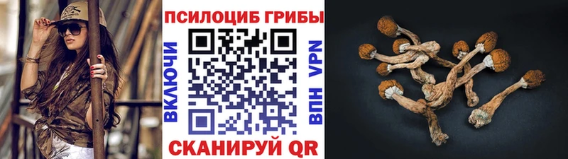 Псилоцибиновые грибы GOLDEN TEACHER Кировград